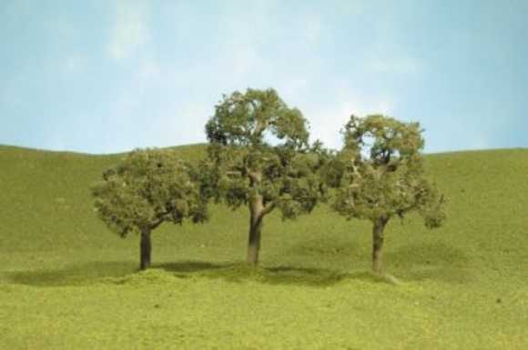 Picture of 2 1/2'' - 3 1/2" Walnut Trees 3pk.