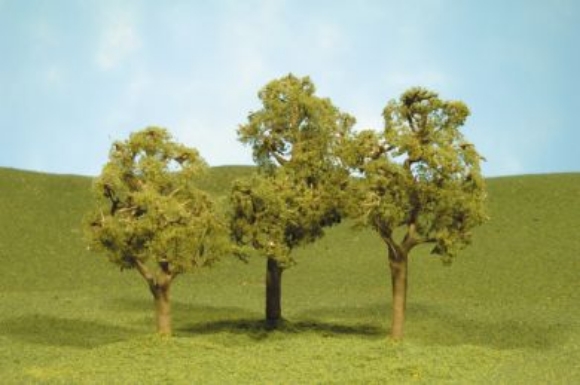 Picture of 3-4" Elm Trees 3-pack