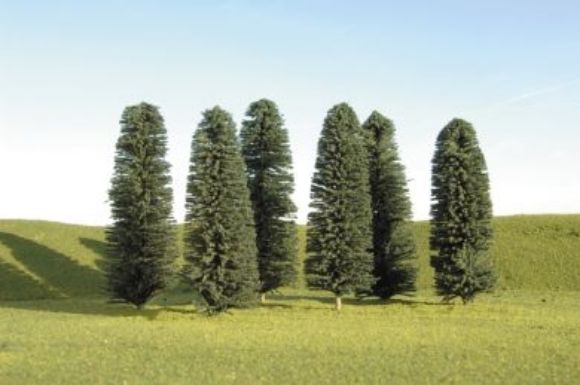 Picture of 5"-6" Cedar Tree 6pk.