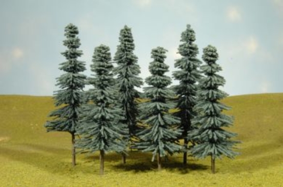 Picture of Blue Spruce Trees 8"-10" (3 per box)