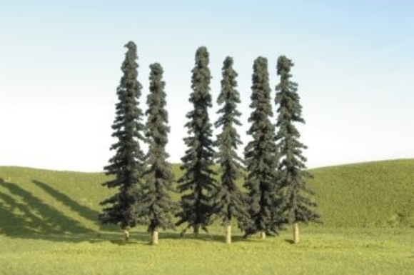 Picture of 5" - 6" Conifer Trees Bulk (24 per bag)