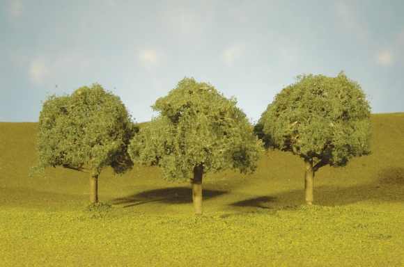 Picture of Oak Trees 3"-3.5" (3 per box)