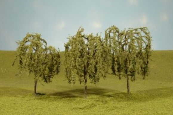 Picture of Willow Trees 3"-3.5" (3 per box)