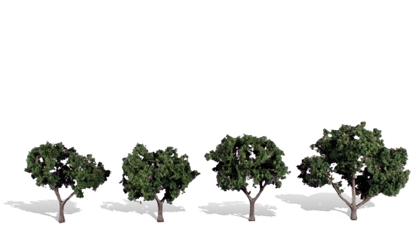 Picture of Cool Shade Tree 4-pk. - Woodland Scencis   