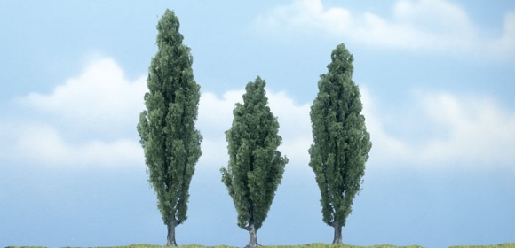 Picture of Popular Tree 3-pack