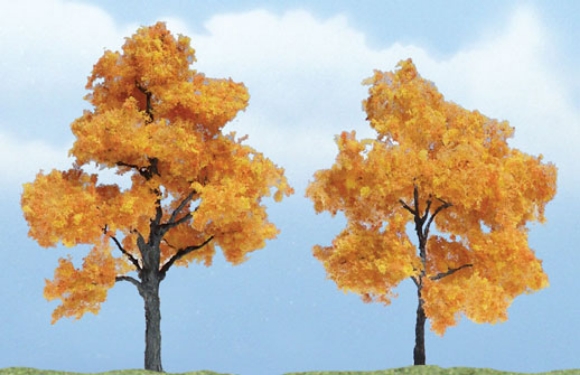 Picture of Fall Maple Tree 2-pack
