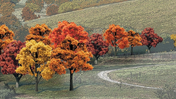 Picture of Ready Made Fall Colors Decidious Tree Pack (38)