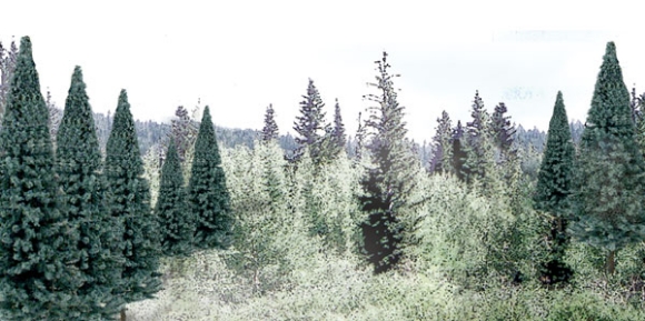 Picture of Ready Made Spruce Tree Pack (18) 